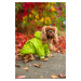 Vsepropejska Big dog zimní bunda pro psa Barva: Zelená, Délka zad (cm): 30, Obvod hrudníku: 44 -