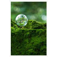 Fotografie sprout inside  globe  in the air, Yuji Sakai, 26.7x40 cm