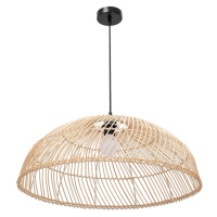 ArtPodlas Visící lampa | APP988-1CP