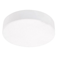 Emithor 63213 - LED Stropní svítidlo SURFACE 1xLED/20W/230V