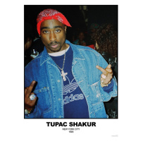 Plakát, Obraz - Tupac Shakur - N.Y.C 1993, 59.4x84.1 cm