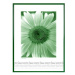 TRADAG Fotorámeček 70 × 100 cm, zelený