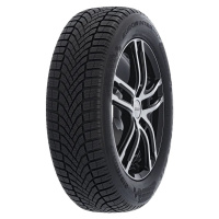 Falken Eurowinter Hs02 195/55 R 16 91V zimní