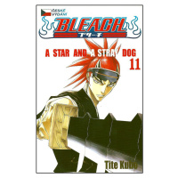 Bleach 11