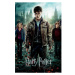 Plakát Harry Potter - Deathly Hallows (53)