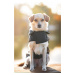 Vsepropejska Arif zimní bunda pro psa Barva: Černá, Délka zad (cm): 26, Obvod hrudníku: 36 - 40 