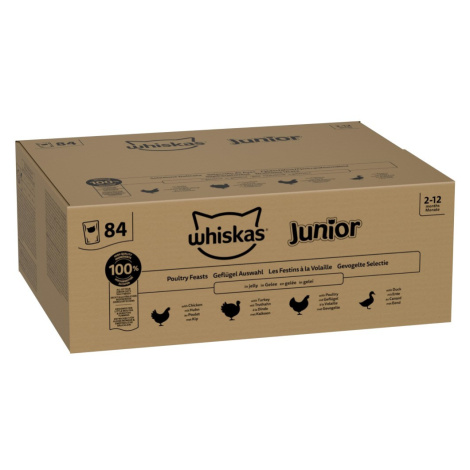 Jumbo balení Whiskas Junior kapsička 84 x 85 g Výběr drůbežího masa v želé