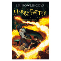 Harry Potter a princ dvojí krve (6. díl)