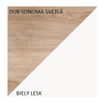 ArtCross Konferenční stolek OMEGA Barva: Dub sonoma světlá / bílý lesk