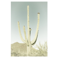 Umělecká fotografie SAGUARO NATIONAL PARK Giant Saguaro | Vintage, Melanie Viola, (26.7 x 40 cm)