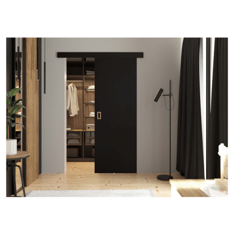 KIER Posuvné dveře WERDI | 100 cm Barva: Černá