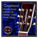 TANGLEWOOD Acoustic Guitar Strings 11 Custom Light