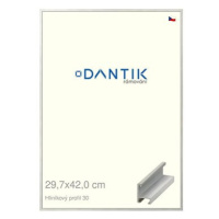 DANTIK rámeček 29,7 × 42, ALU profil 6030 Dýha barevný šedý světlý plexi čiré