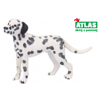 Atlas B Pes Dalmatin 10,5 cm