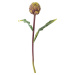 Umělá květina (výška 54 cm) Protea – Bloomingville