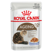 Royal Canin Ageing 12+ v želé - 24 x 85 g