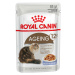 Royal Canin Ageing 12+ v želé - 24 x 85 g