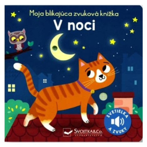 Moja blikajúca zvuková knižka V noci Svojtka&Co.