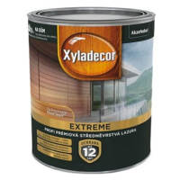 Akzo Nobel Xyladecor Extreme 2,5 l bezbarvá