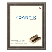 DANTIK rámeček 40 × 50, TOOTH malý stříbrno černý sklo čiré