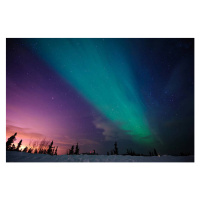 Fotografie Aurora Borealis in Fairbanks, Noppawat Tom Charoensinphon, 40x26.7 cm