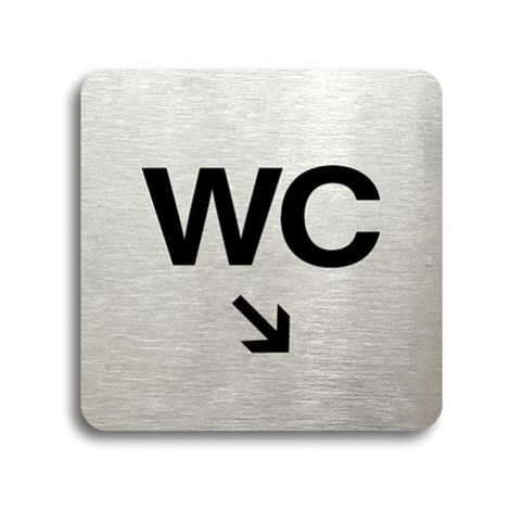 Accept Piktogram "WC vpravo dolů" (80 × 80 mm) (stříbrná tabulka - černý tisk bez rámečku)