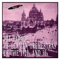 Jazz Orchestra: Parade of German Orchestras of the 1920s & 30s - CD