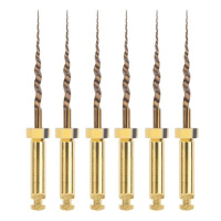 Dentsply Maillefer kořenové nástroje Protaper Gold RA SX 19 mm (žluté), 6ks