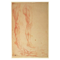 Michelangelo Buonarroti - Obrazová reprodukce Studies of Legs and Arms, (26.7 x 40 cm)