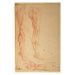 Michelangelo Buonarroti - Obrazová reprodukce Studies of Legs and Arms, (26.7 x 40 cm)