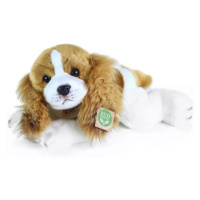 Plyšový pes Cavalier King Charles španěl ležící, 30 cm ECO-FRIENDLY