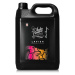 Auto Finesse Lavish Ceramic Foam 5 l