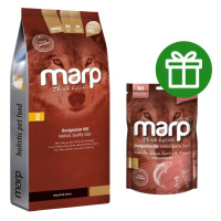 Marp Holistic Turkey ALS Grain Free 17kg