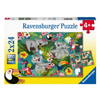 Koaly a lenochodi 2x24 dílků Ravensburger