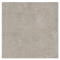 Silk Stone Shantung Greige 60x60 6MM