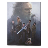 Obraz na plátně Star Wars The Last Jedi - Hope, - 60x80 cm