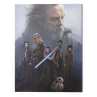 Obraz na plátně Star Wars The Last Jedi - Hope, 2 - 60×80 cm