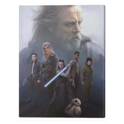 Obraz na plátně Star Wars The Last Jedi - Hope, - 60x80 cm Pyramid
