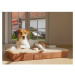 Petlando Florence ortopedický polštářek pro psy v koňakové barvě S 72 × 50 × 8 cm