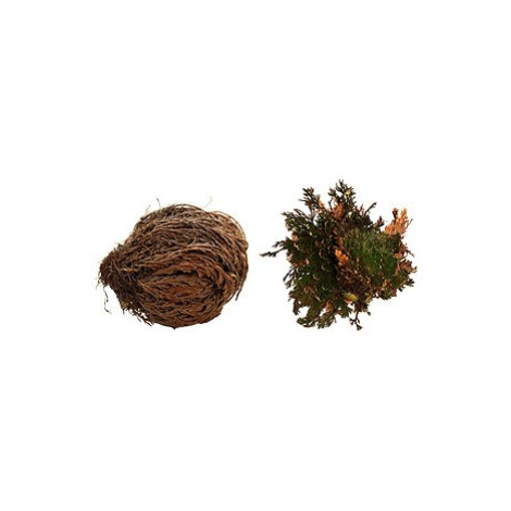 Lucky Reptile Rose of Jericho 50 g