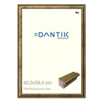 DANTIK rámeček 42 × 59,4, TRITON bílý bronz plexi čiré