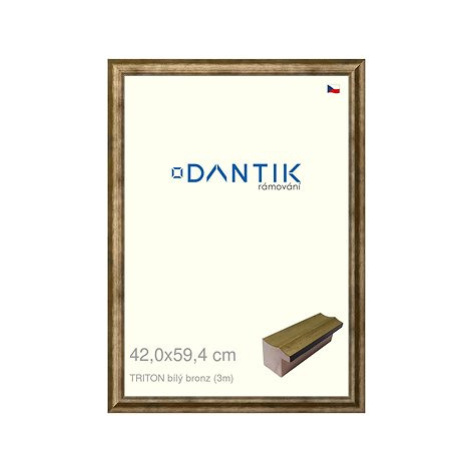 DANTIK rámeček 42 × 59,4, TRITON bílý bronz plexi čiré