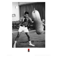 Umělecký tisk Muhammad Ali - Punch Bag, 60 × 80 cm