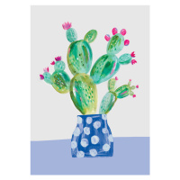 Ilustrace Prickly pear, Laura Irwin, (30 x 40 cm)