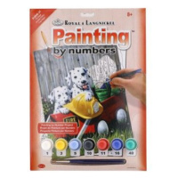 Malování podle čísel Dalmatini 22x30cm s akrylovými barvami a štětcem na kartě