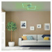 LEUCHTEN DIREKT is JUST LIGHT LED stropní svítidlo barva ocel, hranaté, Smart Home, stmívatelné,