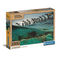 Clementoni 39730 - Puzzle 1000 Compact nat geo - gentoo penguins