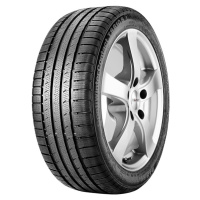 Continental ContiWinterContact TS 810 S ( 205/55 R17 95V XL, N2 )