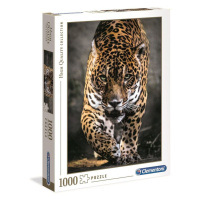 Puzzle Walk of the Jaguar, 1000 ks