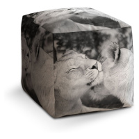 Sablio Taburet Cube Lvice: 40x40x40 cm